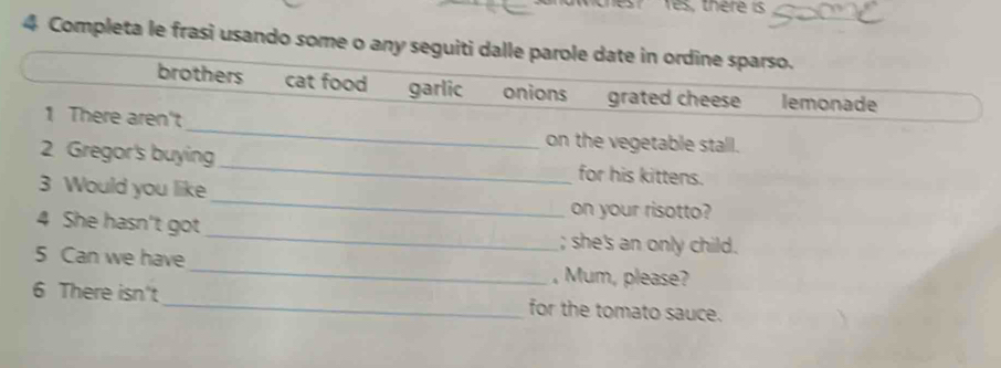 st Yes, thère is
4 Completa le frasi usando some o any seguiti dalle parole date in ordine sparso.
brothers cat food garlic onions grated cheese lemonade
1 There aren't_ on the vegetable stall.
2 Gregor's buying_ for his kittens.
_
3 Would you like
on your risotto?
4 She hasn't got _; she's an only child.
5 Can we have_ , Mum, please?
6 There isn't_ for the tomato sauce.