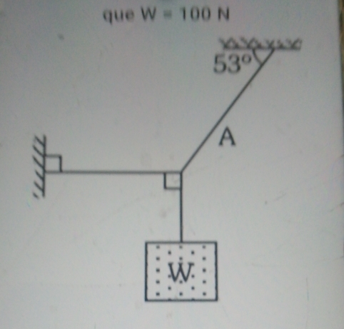 que W=100N