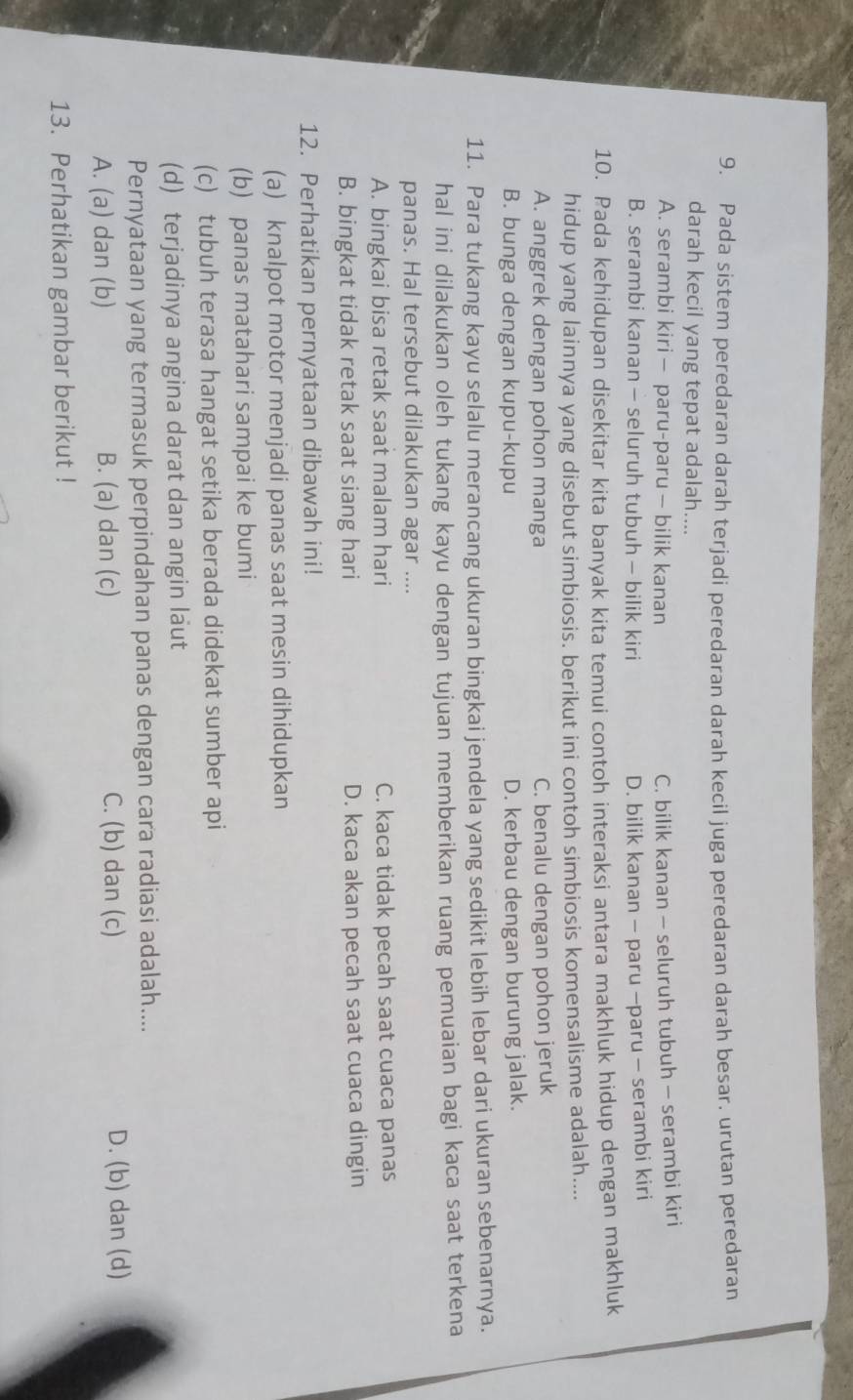 Pada sistem peredaran darah terjadi peredaran darah kecil juga peredaran darah besar. urutan peredaran
darah kecil yang tepat adalah....
A. serambi kiri — paru-paru — bilik kanan C. bilik kanan - seluruh tubuh - serambi kiri
B. serambi kanan - seluruh tubuh - bilik kiri D. bilik kanan - paru -paru - serambi kiri
10. Pada kehidupan disekitar kita banyak kita temui contoh interaksi antara makhluk hidup dengan makhluk
hidup yang lainnya yang disebut simbiosis. berikut ini contoh simbiosis komensalisme adalah....
A. anggrek dengan pohon manga C. benalu dengan pohon jeruk
B. bunga dengan kupu-kupu D. kerbau dengan burung jalak.
11. Para tukang kayu selalu merancang ukuran bingkai jendela yang sedikit lebih lebar dari ukuran sebenarnya.
hal ini dilakukan oleh tukang kayu dengan tujuan memberikan ruang pemuaian bagi kaca saat terkena
panas. Hal tersebut dilakukan agar ....
A. bingkai bisa retak saat malam hari C. kaca tidak pecah saat cuaca panas
B. bingkat tidak retak saat siang hari D. kaca akan pecah saat cuaca dingin
12. Perhatikan pernyataan dibawah ini!
(a) knalpot motor menjadi panas saat mesin dihidupkan
(b) panas matahari sampai ke bumi
(c) tubuh terasa hangat setika berada didekat sumber api
(d) terjadinya angina darat dan angin laut
Pernyataan yang termasuk perpindahan panas dengan cara radiasi adalah....
A. (a) dan (b) B. (a) dan (c) C. (b) dan (c) D. (b) dan (d)
13. Perhatikan gambar berikut !