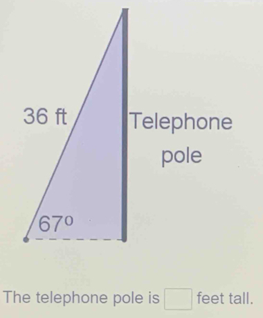 The telephone pole is □ feet tall.