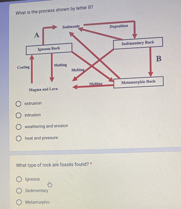 What is the process shown by letter B?
extrusion
intrusion
weathering and erosion
heat and pressure
What type of rock are fossils found? *
Igneous
Sedimentary
Metamorphic