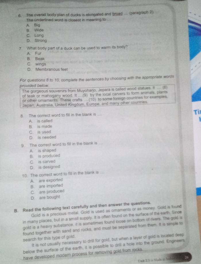 The overall body plan of ducks is elongated and broad .... (paragraph 2).
The underlined word is closest in meaning to
A. Big
B. Wide
C. Long
D. Strong
7. What body part of a duck can be used to warm its body?
A. Fur
B. Beak
C. wings
D. Membranous feet
For questions 8 to 10, complete the sentences by choosing with the appropriate words
provided below.
The gorgeous souvenirs from Muyoharjo, Jepara is called wood statues. It .... (8)
of teak or mahogany wood. It ....(9) by the local carvers to form animals, plants
or other omaments. These crafts ... (10) to some foreign countries for examples,
Japan, Australia, United Kingdom, Europe, and many other countries.
8. The correct word to fill in the blank is_ Til
A. is called
B. is made
C. is used
D. Is needed
9. The correct word to fill in the blank is ....
A. is shaped
B. is produced
C. is carved
D. is designed
10. The correct word to fill in the blank is_
A. are exported
B. are imported
C. are produced
D. are bought
B. Read the following text carefully and then answer the questions.
Gold is a precious metal. Gold is used as omaments or as money. Gold is found
in many places, but in a small supply. It is often found on the surface of the earth. Since
gold is a heavy substance, it is sometimes found loose on bottom of rivers. The gold is
found together with sand and rocks, and must be separated from them. It is simple to
search for this type of gold.
It is not usually necessary to drill for gold, but when a layer of gold is located deep
below the surface of the earth, it is possible to drill a hole into the ground. Engineers
have developed modern process for removing gold from rocks.
Umit 2:1t is Made in fode