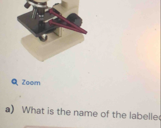 θ Zoom 
a) What is the name of the labelle