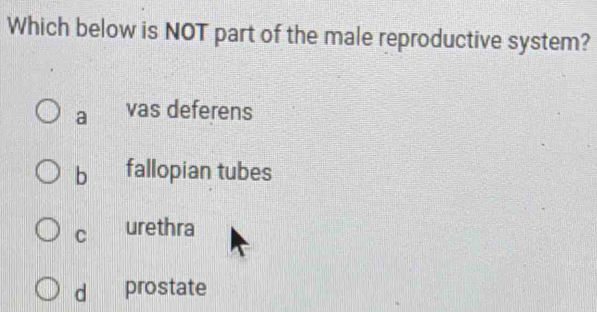 Which below is NOT part of the male reproductive system?
a vas deferens
b fallopian tubes
C urethra
d prostate