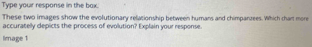 Type your response in the box. 
These two images show the evolutionary relationship between humans and chimpanzees. Which chart more 
accurately depicts the process of evolution? Explain your response. 
Image 1
