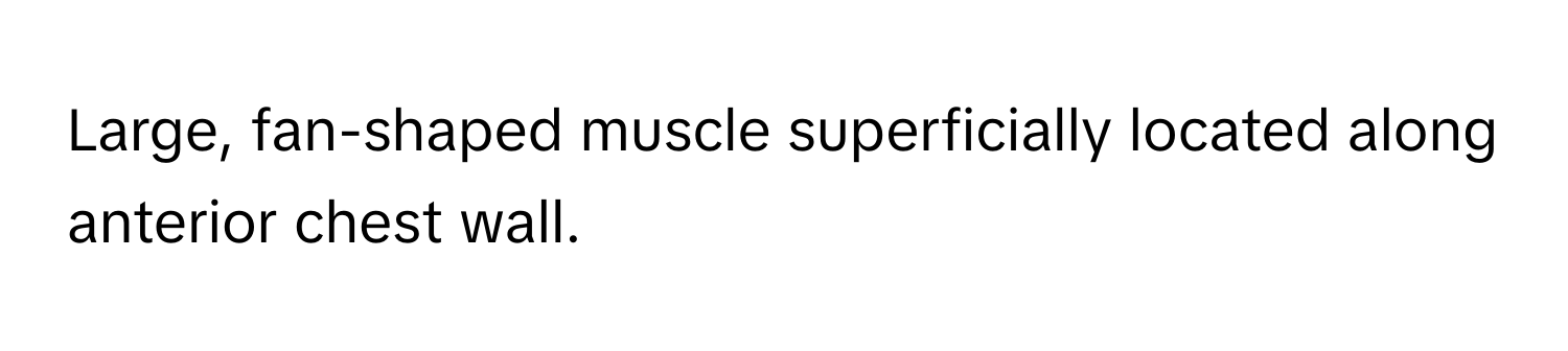 Large, fan-shaped muscle superficially located along anterior chest wall.