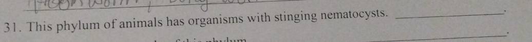 This phylum of animals has organisms with stinging nematocysts._ 
` 
_