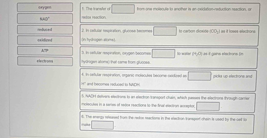 oxygen 1. The transfer of from one molecule to another is an oxidation-reduction reaction, or
N△ D
redox reaction. 
reduced 2. In cellular respiration, glucose becomes to carbon dioxide (CO_2) as it loses electrons 
oxidized (in hydrogen atoms). 
ATP 3. In cellular respiration, oxygen becomes to water (H_2O) as it gains electrons (in 
electrons hydrogen atoms) that came from glucose. 
4. In cellular respiration, organic molecules become oxidized as picks up electrons and
H^+ and becomes reduced to NADH. 
5. NADH delivers electrons to an electron transport chain, which passes the electrons through carrier 
molecules in a series of redox reactions to the final electron acceptor, 
6. The energy released from the redox reactions in the electron transport chain is used by the cell to 
make