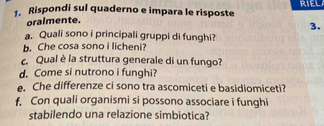 RIEL 
1. Rispondi sul quaderno e impara le risposte 
oralmente. 
3. 
a. Quali sono i principali gruppi di funghi? 
b. Che cosa sono i licheni? 
c. Qual è la struttura generale di un fungo? 
d. Come si nutrono i funghi? 
e. Che differenze ci sono tra ascomiceti e basidiomiceti? 
f. Con quali organismi si possono associare i funghi 
stabilendo una relazione simbiotica?