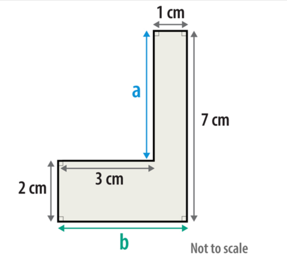 1 cm
b
Not to scale