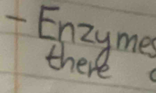 Enzyme 
there