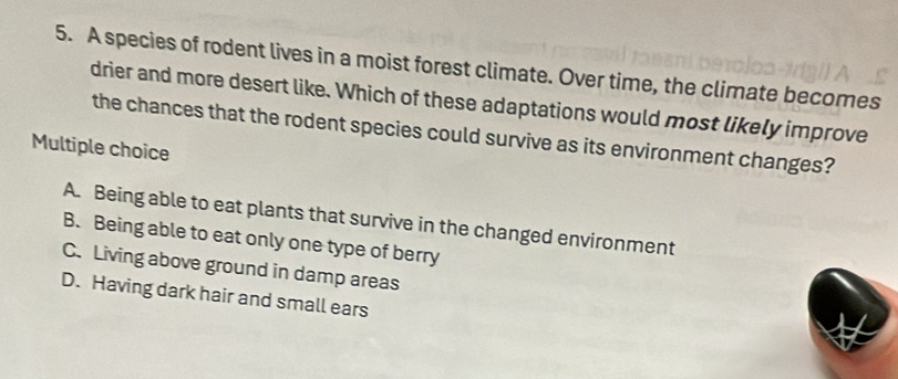 A species of rodent lives in a moist forest climate. Over time, the climate becomes
drier and more desert like. Which of these adaptations would most likely improve
the chances that the rodent species could survive as its environment changes?
Multiple choice
A. Being able to eat plants that survive in the changed environment
B. Being able to eat only one type of berry
C. Living above ground in damp areas
D. Having dark hair and small ears