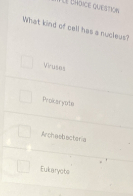 IPLe cHoiCE QUESTION
What kind of cell has a nucleus?
Viruses
Prokaryote
Archaebacteria
Eukaryote