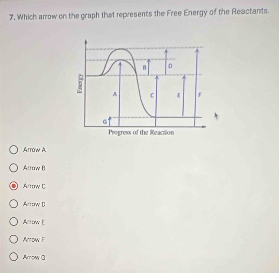 Which arrow on the graph that represents the Free Energy of the Reactants.
B D
5
A C E F
G
Progress of the Reaction
Arrow A
Arrow B
Arrow C
Arrow D
Arrow E
Arrow F
Arrow G