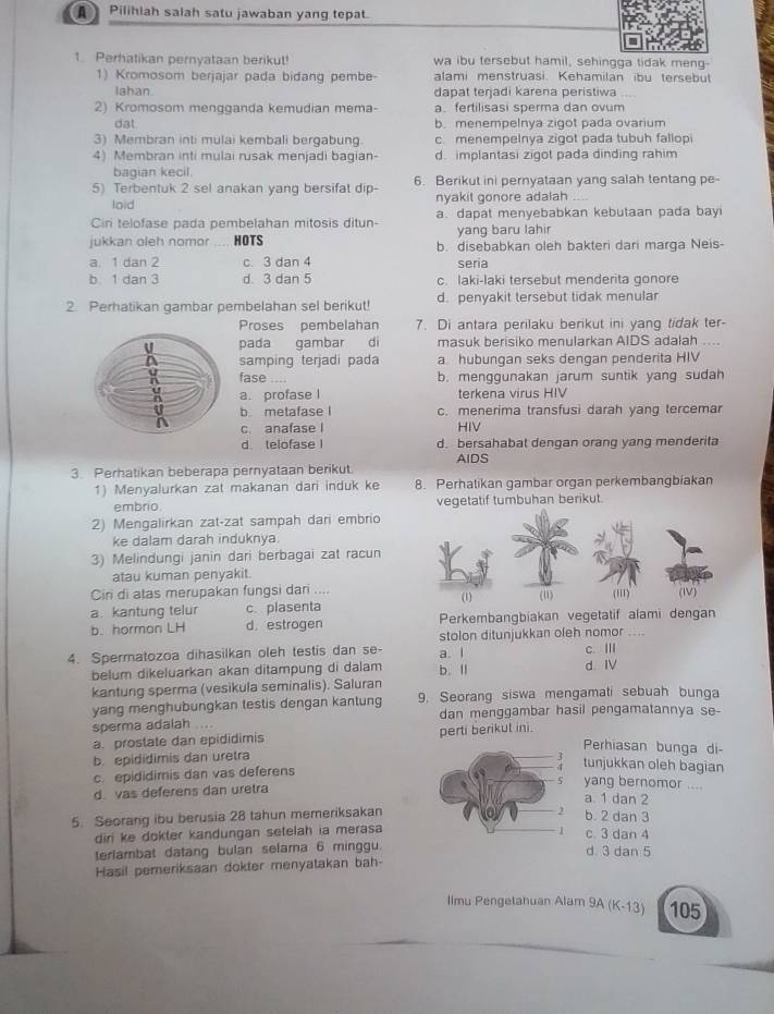 a Pilihiah salah satu jawaban yang tepat.
1. Perhatikan pernyataan berikut! wa ibu tersebut hamil, sehingga tidak meng-
1) Kromosom berjajar pada bidang pembe alami menstruasi. Kehamilan ibu tersebut
Iahan dapat terjadi karena peristiwa . .
2) Kromosom mengganda kemudian mema- a.fertilisasi sperma dan ovum
dat. b. menempelnya zigot pada ovarium
3) Membran inti mulai kembali bergabung. c menempelnya zigot pada tubuh fallop
4) Membran inti mulai rusak menjadi bagian- d. implantasi zigot pada dinding rahim
bagian kecil.
5) Terbentuk 2 sel anakan yang bersifat dip- 6. Berikut ini pernyataan yang salah tentang pe-
loid nyakit gonore adalah
Ciri telofase pada pembelahan mitosis ditun- a. dapat menyebabkan kebutaan pada bayi
yang baru lahir
jukkan oleh nomor HOTS b. disebabkan oleh bakteri dari marga Neis-
a. 1 dan 2 c. 3 dan 4 seria
b 1 dan 3 d 3 dan 5 c. laki-laki tersebut menderita gonore
2. Perhatikan gambar pembelahan sel berikut! d. penyakit tersebut tidak menular
Proses pembelahan 7. Di antara perilaku berikut ini yang tidak ter-
pada gambar  di masuk berisiko menularkan AIDS adalah ....
samping terjadi pada a hubungan seks dengan penderita HIV
fase .... b. menggunakan jarum suntik yang sudah
a. profase I terkena virus HIV
b metafase I c. menerima transfusi darah yang tercemar
c. anafase I HIV
d. telofase I d. bersahabat dengan orang yang menderita
AIDS
3. Perhatikan beberapa pernyataan berikut.
1) Menyalurkan zat makanan dari induk ke 8. Perhatikan gambar organ perkembangbiakan
embrio. vegetatif tumbuhan berikut.
2) Mengalirkan zat-zat sampah dari embrio
ke dalam darah induknya.
3) Melindungi janin dari berbagai zat racun
atau kuman penyakit.
Ciri di atas merupakan fungsi dari ....
a. kantung telur c. plasenta
b. horman LH d. estrogen Perkembangbíakan vegetatif alami dengan
stolon ditunjukkan oleh nomor ....
4. Spermatozoa dihasilkan oleh testis dan se- a. l c. Ⅲ
belum dikeluarkan akan ditampung di dalam b. Ⅱ d. I
kantung sperma (vesikula seminalis). Saluran
yang menghubungkan testis dengan kantung 9. Seorang siswa mengamati sebuah bunga
sperma adalah .... dan menggambar hasil pengamatannya se-
a. prostate dan epididimis perti berikut ini.
Perhiasan bunga di-
b. epididimis dan uretra
c. epididimis dan vas deferens
tunjukkan oleh bagian
d. vas deferens dan uretra
yang bernomor ....
a. 1 dan 2
5. Seorang ibu berusia 28 tahun memeriksakan
b. 2 dan 3
diri ke dokter kandungan setelah ia merasa c. 3 dan 4
terlambat datang bulan selama 6 minggu.
d. 3 dan 5
Hasil pemeriksaan dokter menyatakan bah-
Ilmu Pengetahuan Alam 9A (K-13) 105