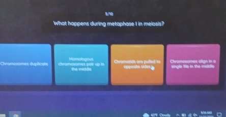 5/10
What happens during metaphase I in meiosis?
Homologous Chromatids are pulled to Chremesomes olign in a
Chromosomes duplicate the middie 
opposito sider single fifle in the middle