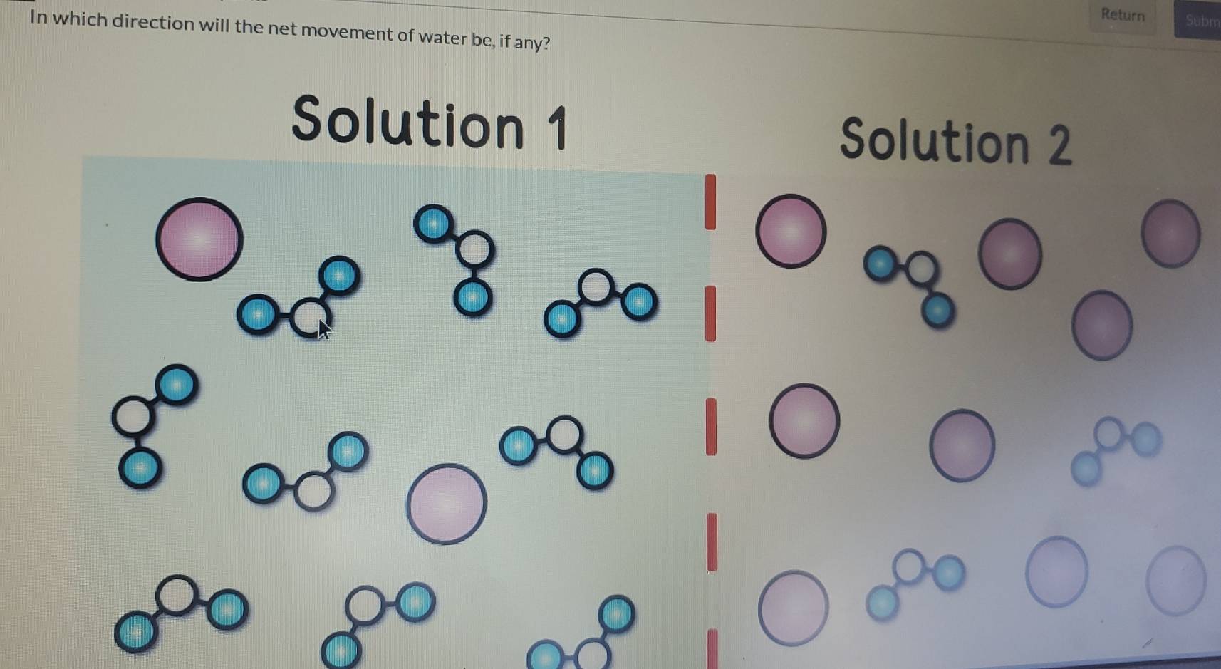 Return Subm 
In which direction will the net movement of water be, if any? 
Solution 1 Solution 2