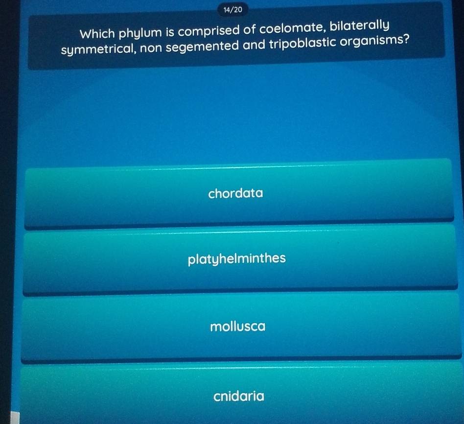 14/20
Which phylum is comprised of coelomate, bilaterally
symmetrical, non segemented and tripoblastic organisms?
chordata
platyhelminthes
mollusca
cnidaria