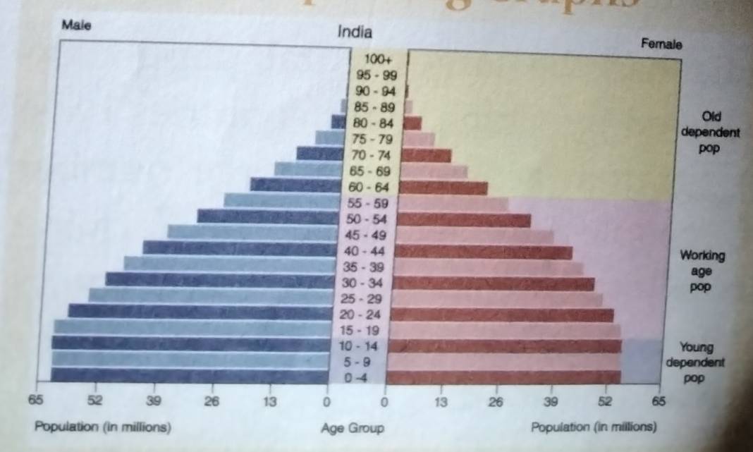 nt 
Age Group