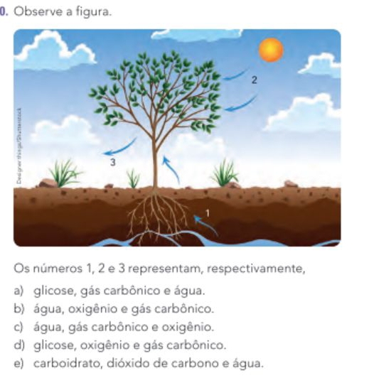 Observe a figura.
Os números 1, 2 e 3 representam, respectivamente,
a) glicose, gás carbônico e água.
b) água, oxigênio e gás carbônico.
c) água, gás carbônico e oxigênio.
d) glicose, oxigênio e gás carbônico.
e) carboidrato, dióxido de carbono e água.