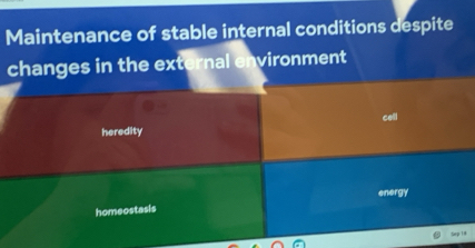 Maintenance of stable internal conditions despite
changes in the external environment
cell
heredity
energy
homeostasis
tep 14