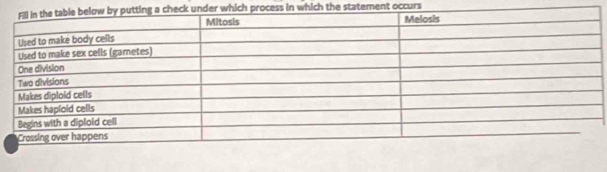 which process in which the statement occurs