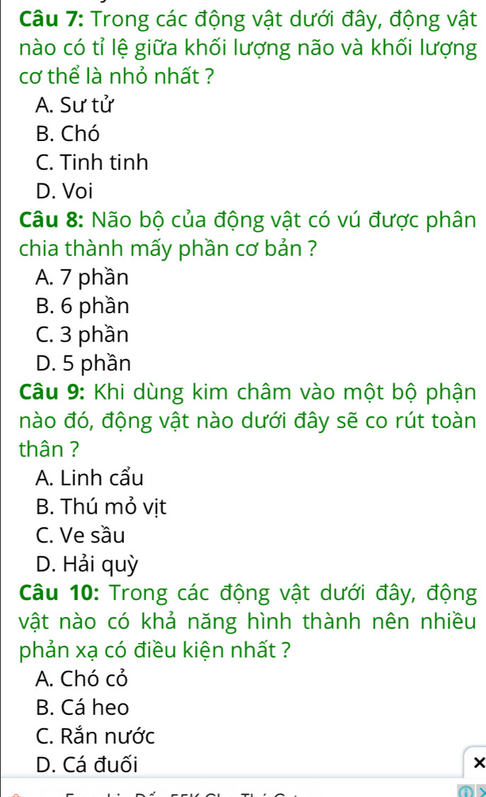 Trong các động vật dưới đây, động vật
nào có tỉ lệ giữa khối lượng não và khối lượng
cơ thể là nhỏ nhất ?
A. Sư tử
B. Chó
C. Tinh tinh
D. Voi
Câu 8: Não bộ của động vật có vú được phân
chia thành mấy phần cơ bản ?
A. 7 phần
B. 6 phần
C. 3 phần
D. 5 phần
Câu 9: Khi dùng kim châm vào một bộ phận
nào đó, động vật nào dưới đây sẽ co rút toàn
thân ?
A. Linh cẩu
B. Thú mỏ vịt
C. Ve sầu
D. Hải quỳ
Câu 10: Trong các động vật dưới đây, động
vật nào có khả năng hình thành nên nhiều
phản xạ có điều kiện nhất ?
A. Chó cỏ
B. Cá heo
C. Rắn nước
D. Cá đuối ×