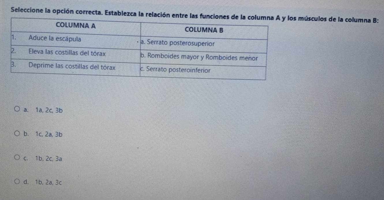 Seleccione la opción correcta. Establezca la relación entre lúsculos de la columna B:
a. 1a, 2c, 3b
b. 1c, 2a, 3b
c. 1b, 2c, 3a
d. 1b, 2a, 3c