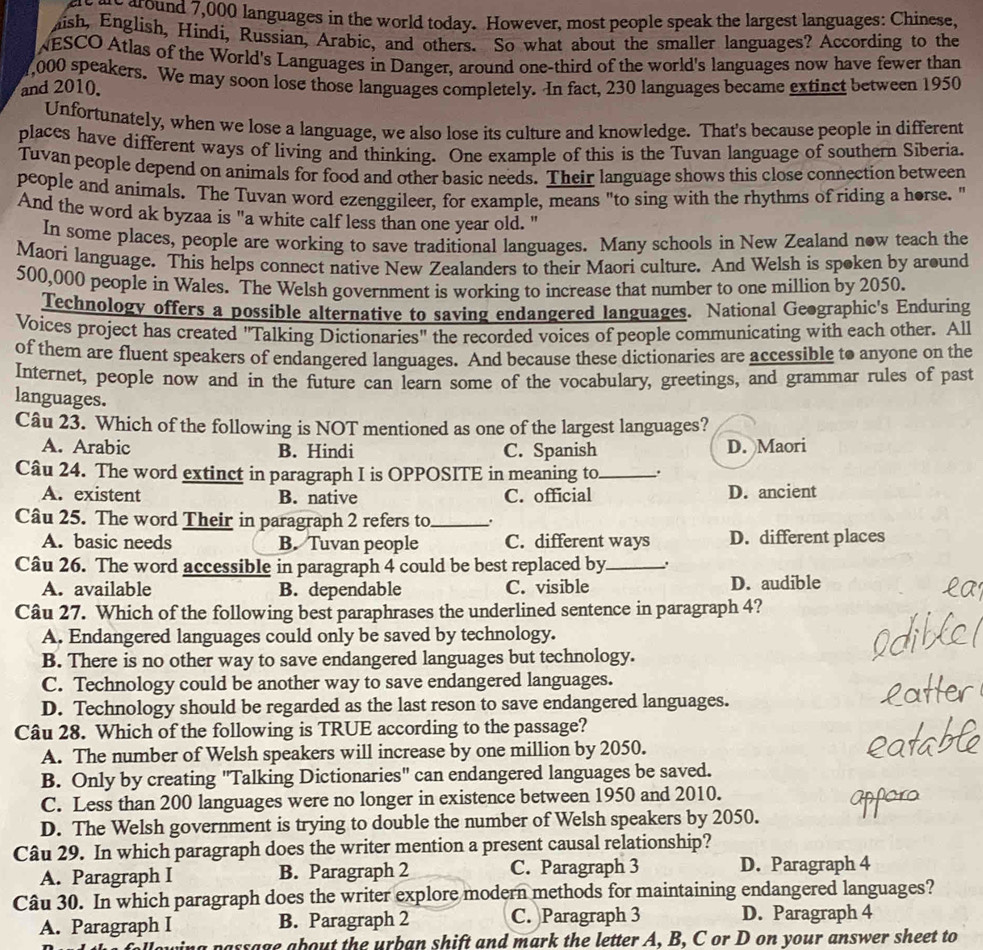 reme around 7,000 languages in the world today. However, most people speak the largest languages: Chinese,
hish, English, Hindi, Russian, Arabic, and others. So what about the smaller languages? According to the
NESCO Atlas of the World's Languages in Danger, around one-third of the world's languages now have fewer than
,000 speakers. We may soon lose those languages completely. In fact, 230 languages became extinct between 1950
and 2010.
Unfortunately, when we lose a language, we also lose its culture and knowledge. That's because people in different
places have different ways of living and thinking. One example of this is the Tuvan language of southern Siberia.
Tuvan people depend on animals for food and other basic needs. Their language shows this close connection between
people and animals. The Tuvan word ezenggileer, for example, means "to sing with the rhythms of riding a horse. "
And the word ak byzaa is "a white calf less than one year old. "
In some places, people are working to save traditional languages. Many schools in New Zealand now teach the
Maori language. This helps connect native New Zealanders to their Maori culture. And Welsh is spoken by around
500,000 people in Wales. The Welsh government is working to increase that number to one million by 2050.
Technology offers a possible alternative to saving endangered languages. National Geographic's Enduring
Voices project has created "Talking Dictionaries" the recorded voices of people communicating with each other. All
of them are fluent speakers of endangered languages. And because these dictionaries are accessible to anyone on the
Internet, people now and in the future can learn some of the vocabulary, greetings, and grammar rules of past
languages.
Câu 23. Which of the following is NOT mentioned as one of the largest languages?
A. Arabic B. Hindi C. Spanish D. Maori
Câu 24. The word extinct in paragraph I is OPPOSITE in meaning to_ .
A. existent B. native C. official D. ancient
Câu 25. The word Their in paragraph 2 refers to_ .
A. basic needs B. Tuvan people C. different ways D. different places
Câu 26. The word accessible in paragraph 4 could be best replaced by _、.
A. available B. dependable C. visible D. audible
Câu 27. Which of the following best paraphrases the underlined sentence in paragraph 4?
A. Endangered languages could only be saved by technology.
B. There is no other way to save endangered languages but technology.
C. Technology could be another way to save endangered languages.
D. Technology should be regarded as the last reson to save endangered languages.
Câu 28. Which of the following is TRUE according to the passage?
A. The number of Welsh speakers will increase by one million by 2050.
B. Only by creating "Talking Dictionaries" can endangered languages be saved.
C. Less than 200 languages were no longer in existence between 1950 and 2010.
D. The Welsh government is trying to double the number of Welsh speakers by 2050.
Câu 29. In which paragraph does the writer mention a present causal relationship?
A. Paragraph I B. Paragraph 2 C. Paragraph 3 D. Paragraph 4
Câu 30. In which paragraph does the writer explore modern methods for maintaining endangered languages?
A. Paragraph I B. Paragraph 2 C. Paragraph 3 D. Paragraph 4
a passage about the urban shift and mark the letter A, B, C or D on your answer sheet to