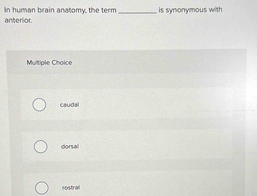 Solved: In human brain anatomy, the term _is synonymous with anterior ...