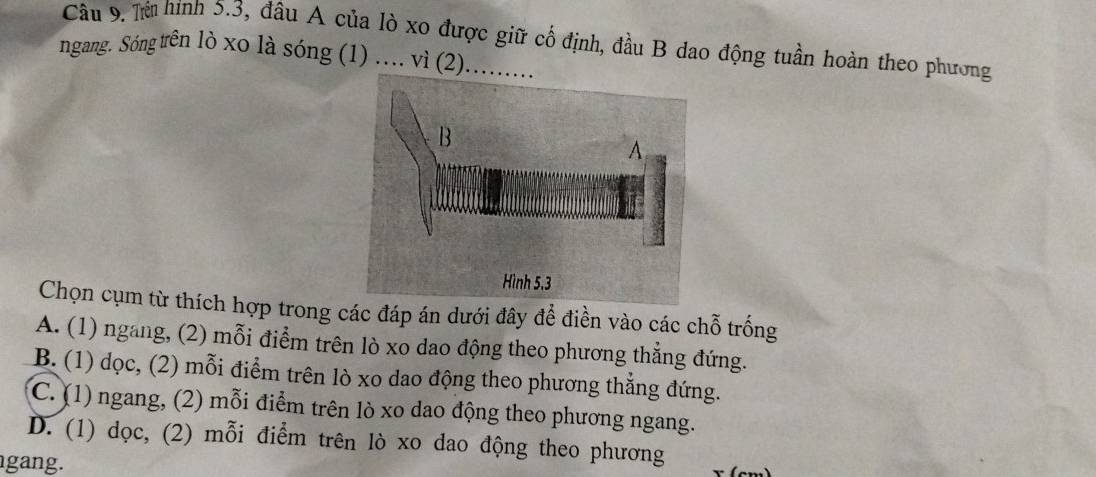 Từ hình 5.3, đầu A của lò xo được giữ cổ định, đầu B dao động tuần hoàn theo phương
ngang. Sóng trên lò xo là sóng (1) .... vì (2)....
Chọn cụm từ thích hợp trong các đáp án dưới đây để điền vào các chỗ trống
A. (1) ngang, (2) mỗi điểm trên lò xo dao động theo phương thẳng đứng.
B. (1) dọc, (2) mỗi điểm trên lò xo dao động theo phương thắng đứng.
C. (1) ngang, (2) mỗi điểm trên lò xo dao động theo phương ngang.
D. (1) dọc, (2) mỗi điểm trên lò xo dao động theo phương
gang.