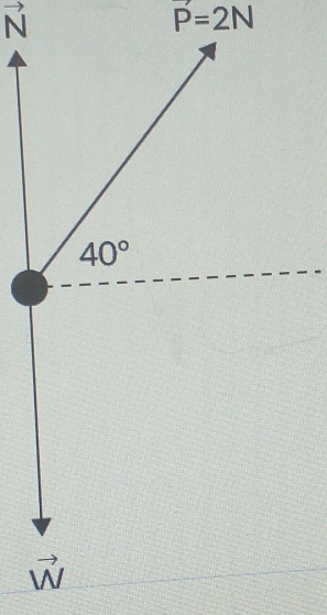 vector N
P=2N