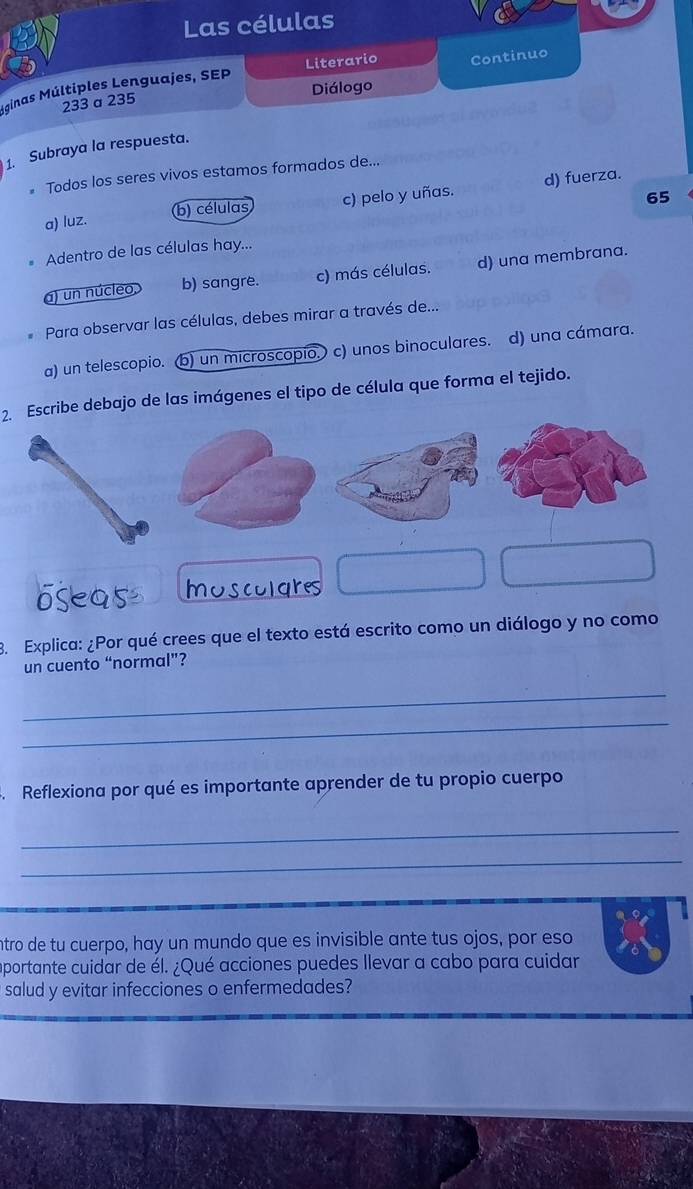 Las células
Literario
233 α 235 Continuo
Diálogo
Mainas Múltiples Lenguajes, SEP
1. Subraya la respuesta.
Todos los seres vivos estamos formados de...
65
a) luz. b) células c) pelo y uñas. d) fuerza.
Adentro de las células hay...
a) un núcleo, b) sangre. c) más células. d) una membrana.
Para observar las células, debes mirar a través de...
a) un telescopio. (b) un microscopio. c) unos binoculares. d) una cámara.
2. Escribe debajo de las imágenes el tipo de célula que forma el tejido.
oseas moscolgres
8. Explica: ¿Por qué crees que el texto está escrito como un diálogo y no como
un cuento “normal”?
_
_
Reflexiona por qué es importante aprender de tu propio cuerpo
_
_
ntro de tu cuerpo, hay un mundo que es invisible ante tus ojos, por eso
aportante cuidar de él. ¿Qué acciones puedes llevar a cabo para cuidar
salud y evitar infecciones o enfermedades?