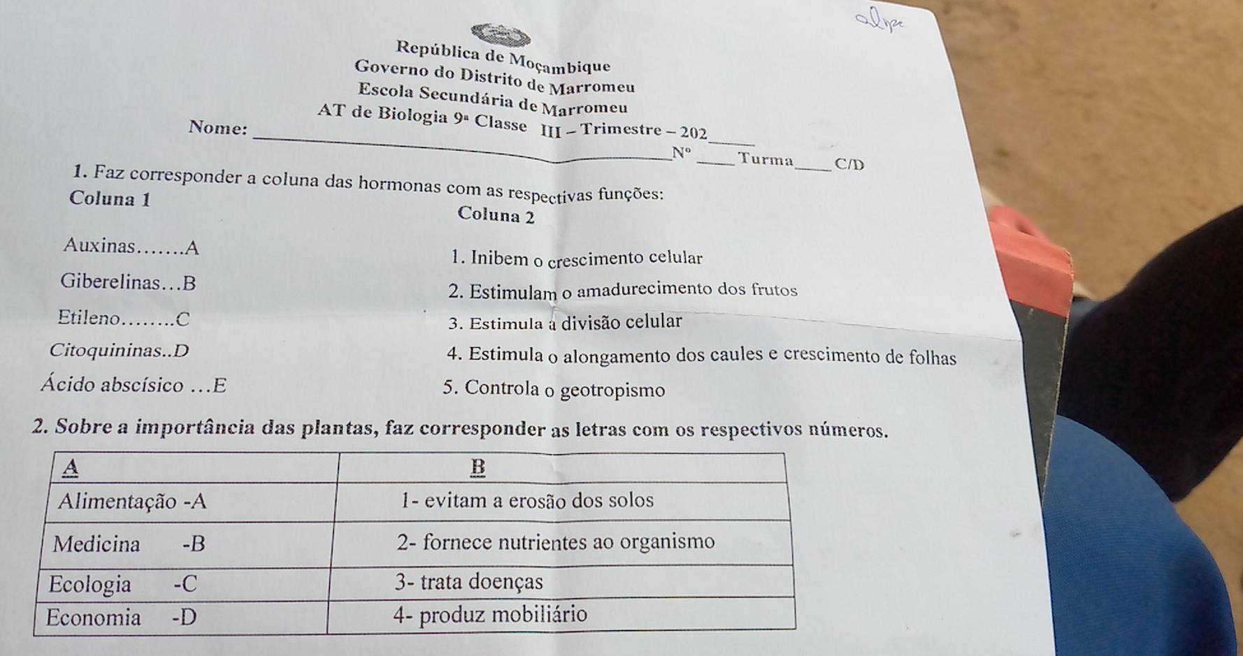 Lyr 
República de Moçambique 
Governo do Distrito de Marromeu 
Escola Secundária de Marromeu 
AT de Biologia 9ª Classe III - Trimestre - 202 
Nome: ___Turma _C/D 
N° 
1. Faz corresponder a coluna das hormonas com as respectivas funções: 
Coluna 1 
Coluna 2 
Auxinas……A 
1. Inibem o crescimento celular 
Giberelinas…B 
2. Estimulam o amadurecimento dos frutos 
Etileno…….C 
3. Estimula a divisão celular 
Citoquininas..D 4. Estimula o alongamento dos caules e crescimento de folhas 
Ácido abscísico .E 5. Controla o geotropismo 
2. Sobre a importância das plantas, faz corresponder as letras com os respectivos números.