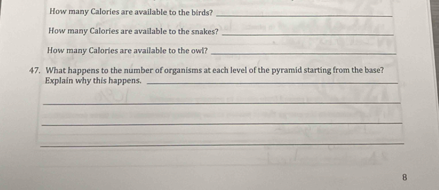 How many Calories are available to the birds?_ 
How many Calories are available to the snakes?_ 
How many Calories are available to the owl?_ 
47. What happens to the number of organisms at each level of the pyramid starting from the base? 
Explain why this happens._ 
_ 
_ 
_ 
8