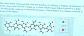 The modiel below rpriments the chemical structure of collutose, a comples carbotudicate. It 
mpdel shows that cofuloue in made up of mome sample sugars linked Eogether in a chunk 
shown in the malsi. Celultone can be made sy ef thousands of sugars. Only a netión of a cnfutona molecide le