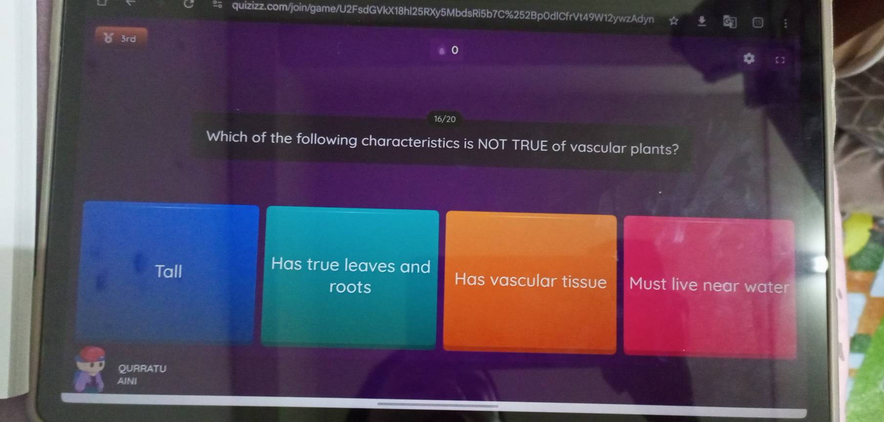 δ 3rd
0
16/20
Which of the following characteristics is NOT TRUE of vascular plants?
Has true leaves and
Tall Has vascular tissue Must live near water
roots
QURRATU
AINI