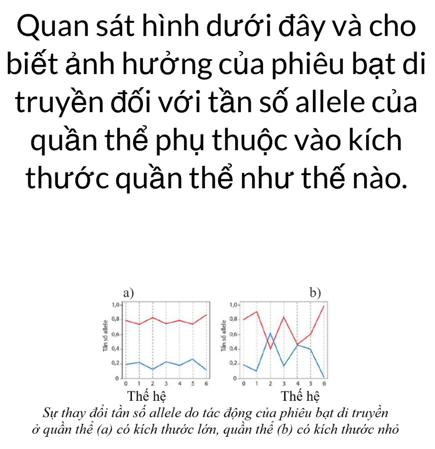 Quan sát hình dưới đây và cho
biết ảnh hưởng của phiêu bạt di
truyền đối với tần số allele của
quần thể phụ thuộc vào kích
thước quần thể như thế nào.
b)
1,0 -
0,8
: 0,6 -
0,4 -
0,2
0
0 1 2 3 4 5 6
Thế hệ
Sự thay đổi tần số allele do tác động của phiêu bạt di truyền
ở quần thể (a) có kích thước lớn, quần thể (b) có kích thước nhỏ