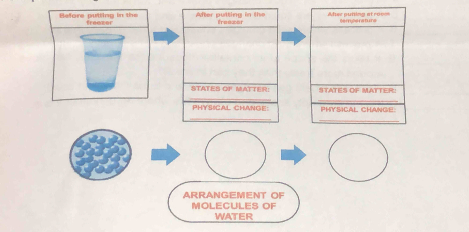 Before putting in the After putting in the After putting at room 
freezer freezer temperature 
_ 
STATES OF MATTER: STATES OF MATTER: 
_ 
_ 
PHYSICAL CHANGE: PHYSICAL CHANGE: 
_ 
ARRANGEMENT OF 
MOLECULES OF 
WATER