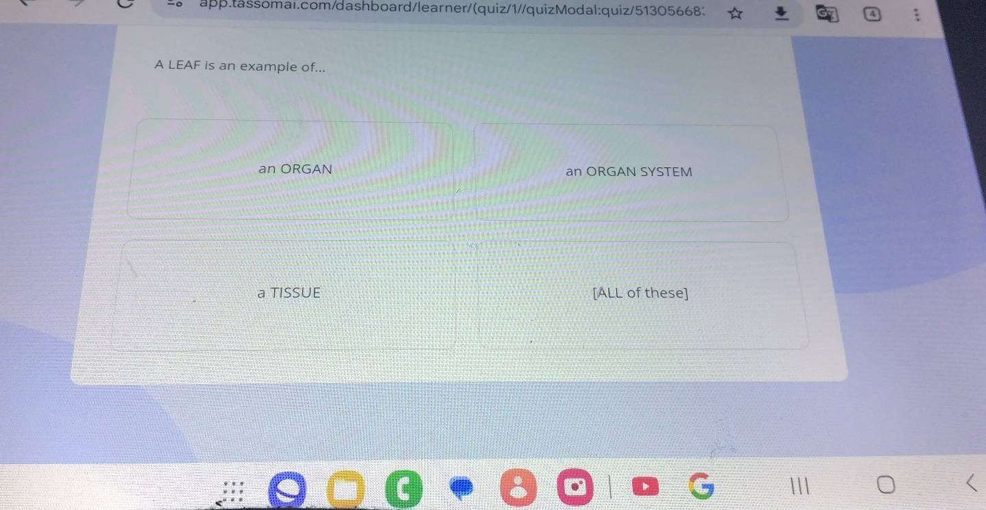 app.tassomar.com/dashboard/learner/(quiz/1//quizModal:quiz/513056683
A LEAF is an example of...
an ORGAN an ORGAN SYSTEM
a TISSUE [ALL of these]