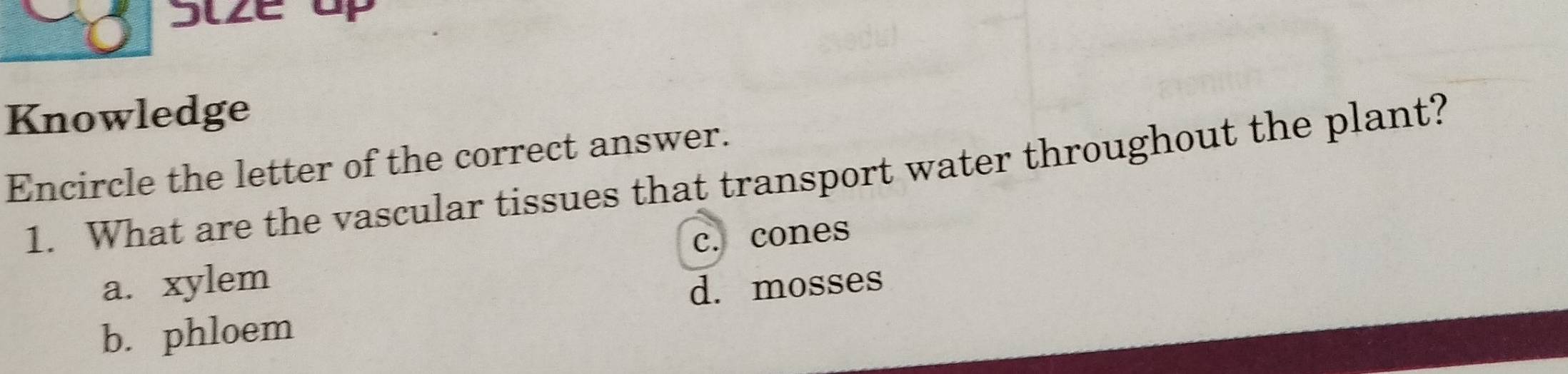 Slze up
Knowledge
Encircle the letter of the correct answer.
1. What are the vascular tissues that transport water throughout the plant?
a. xylem c. cones
d. mosses
b. phloem