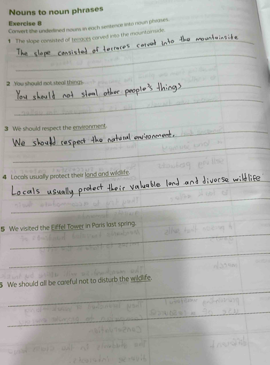 Nouns to noun phrases 
Exercise 8 
Convert the underlined nouns in each sentence into noun phrases. 
_ 
1 The slope consisted of terraces carved into the mountainside._ 
_ 
2 You should not steal things. 
_ 
_ 
3 We should respect the environment. 
_ 
_ 
4 Locals usually protect their land and wildlife. 
_ 
_ 
5 We visited the Eiffel Tower in Paris last spring. 
_ 
_ 
5 We should all be careful not to disturb the wildlife. 
_