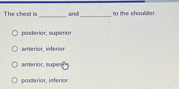 The chest is and to the shoulder.
posterior, superior
anterior, inferior
anterior, super
posterior, inferior