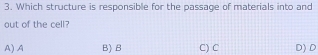 Which structure is responsible for the passage of materials into and
out of the cell?
A)A B) B C) C D)D