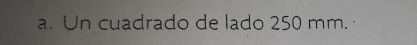 Un cuadrado de lado 250 mm.