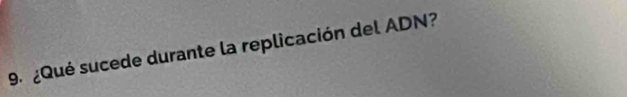 9º ¿Qué sucede durante la replicación del ADN?