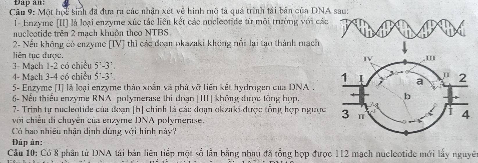 Dap an:
Câu 9: Một học sinh đã đưa ra các nhận xét về hình mô tả quá trình tái bản của DNA sau:
1- Enzyme [II] là loại enzyme xúc tác liên kết các nucleotide từ môi trường với các
nucleotide trên 2 mạch khuôn theo NTBS.
2- Nếu không có enzyme [IV] thì các đoạn okazaki không nối lại tạo thành mạch
liên tục được.
IV
,Ⅲ
3- Mạch 1-2 có chiều 5^,-3^,. 
I
4- Mạch 3 -4 có chiều 5'-3'. 1 I 2
a
5- Enzyme [I] là loại enzyme tháo xoắn và phá vỡ liên kết hydrogen của DNA .
6- Nếu thiếu enzyme RNA polymerase thì đoạn [III] không được tổng hợp.
b
7- Trình tự nucleotide của đoạn [b] chính là các đoạn okzaki được tổng hợp ngược 3
với chiều di chuyển của enzyme DNA polymerase.
4
Có bao nhiêu nhận định đúng với hình này?
Đáp án:
Câu 10: Có 8 phân tử DNA tái bản liên tiếp một số lần bằng nhau đã tổng hợp được 112 mạch nucleotide mới lấy nguyên