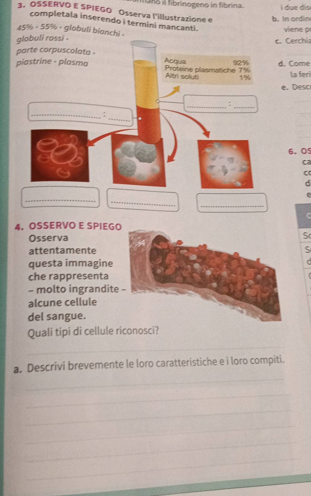 fano il tibrinogeno in fibrina. i due dis 
3. OSSERVO E SPIEGO Osserva l’illustrazione e 
b. In ordin 
completala inserendo i termini mancanti.
45% ∘ 55% ∘ globuli bianchi 
viene p 
c. Cerchia 
d. Come 
la feri 
e. Desc 
_ 
_ 
_ 
6. OS 
ca 
C 
d 
_ 
_ 
e 
_ 
C 
4. OSSERVO E SPIEGO 
OsservaSc 
attentamenteS 
questa immagine 
C 
che rappresenta 
- molto ingrandite 
alcune cellule 
del sangue. 
Quali tipi di cellule riconosci? 
_ 
_ 
a. Descrivi brevemente le loro caratteristiche e i loro compiti. 
_ 
_ 
_ 
_ 
_