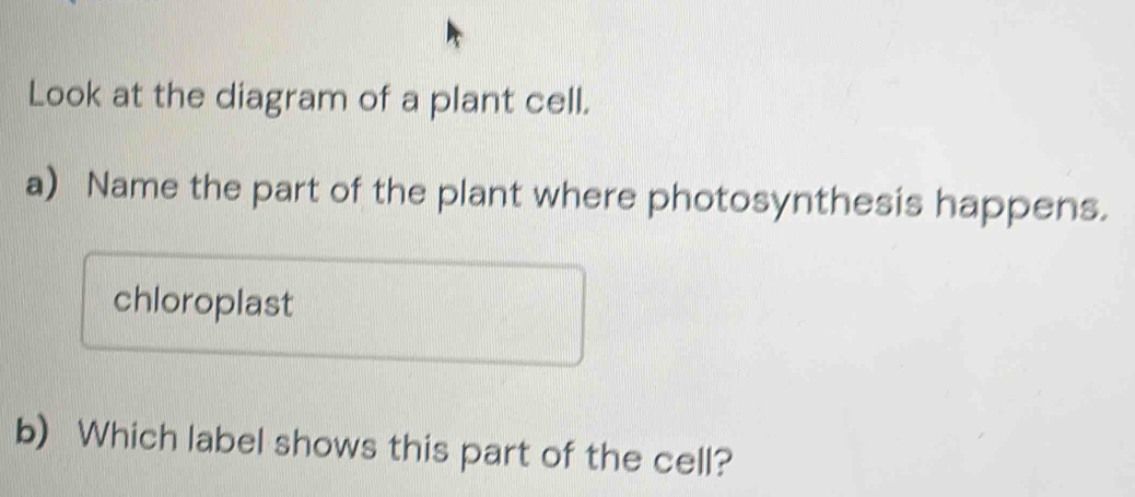 Look at the diagram of a plant cell. 
a) Name the part of the plant where photosynthesis happens. 
chloroplast 
b) Which label shows this part of the cell?