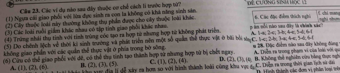 Các ví dụ nào sau đây thuộc cơ chế cách li trước hợp tử?
ĐÊ CƯƠNG SINH HọC 12
(1) Ngựa cái giao phối với lừa đực sinh ra con la không có khả năng sinh sản.
(2) Cây thuộc loài này thường không thụ phần được cho cây thuộc loài khác.
6. Các đặc điểm thích nghi f. chi mang
nghi nhưn
(3) Các loài ruồi giấm khác nhau có tập tính giao phối khác nhau. p án nối nào sau dây là chính xác?
(4) Trứng nhái thụ tinh với tinh trùng cóc tạo ra hợp tử nhưng hợp tử không phát triển. A. 1-a; 2-c; 3-b; 4-e; 5-d; 6-f
(5) Do chênh lệch về thời kì sinh trưởng và phát triển nên một số quần thể thực vật ở bãi bồi sở C. 1-c; 2-b; 3-a; 4-e; 5-d; 6-f
không giao phần với các quần thể thực vật ở phía trong bờ sông. u 28. Đặc điểm nào sau đây không đúng
(6) Cừu có thể giao phối với dê, có thể thụ tinh tạo thành hợp tử nhưng hợp tử bị chết ngay. A. Diễn ra trong phạm vi của loài với qu
D. (2), (3), (4).
A. (1), (2), (6). B. (2), (3), (5). C. (1), (2), (4).  B. Không thể nghiên cứu bằng thực ngh
c khu vực địa lí dễ xảy ra hơn so với hình thành loài cùng khu vực địa C. Diễn ra trong thời gian lịch sử dài
D. Hình thành các đơn vị phân loại trên